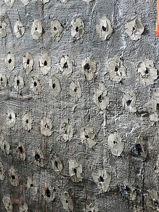 Oprava Komensk�ho s�n�